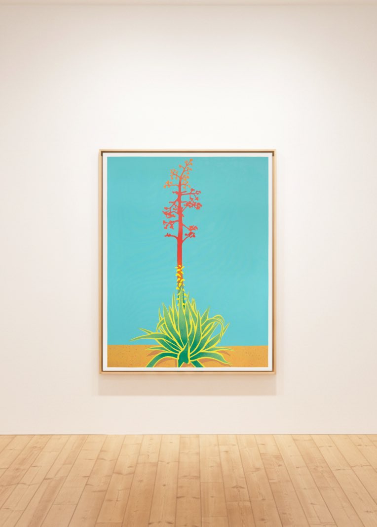 Luis Simo tweet media