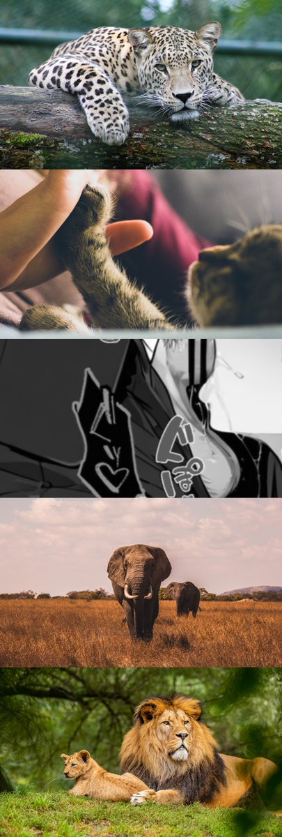 2lixqll🍙 tweet media