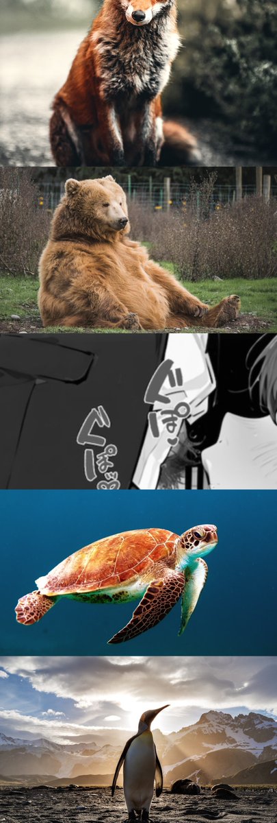 2lixqll🍙 tweet media