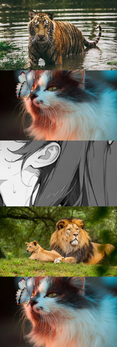 2lixqll🍙 tweet media