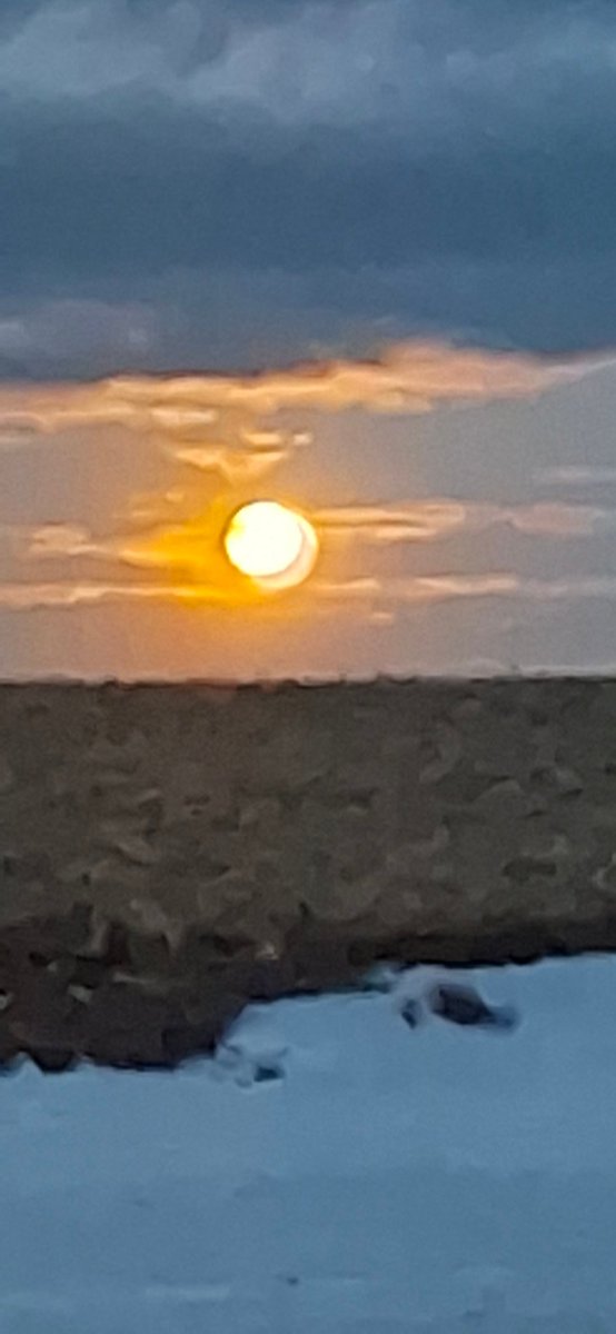 imnotcryin's tweet photo. Blood moon was so bright yesterday morning it looked like a sunrise https://t.co/nLqizMNuux
