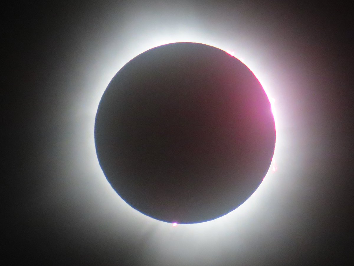 Evan Hayden tweet media