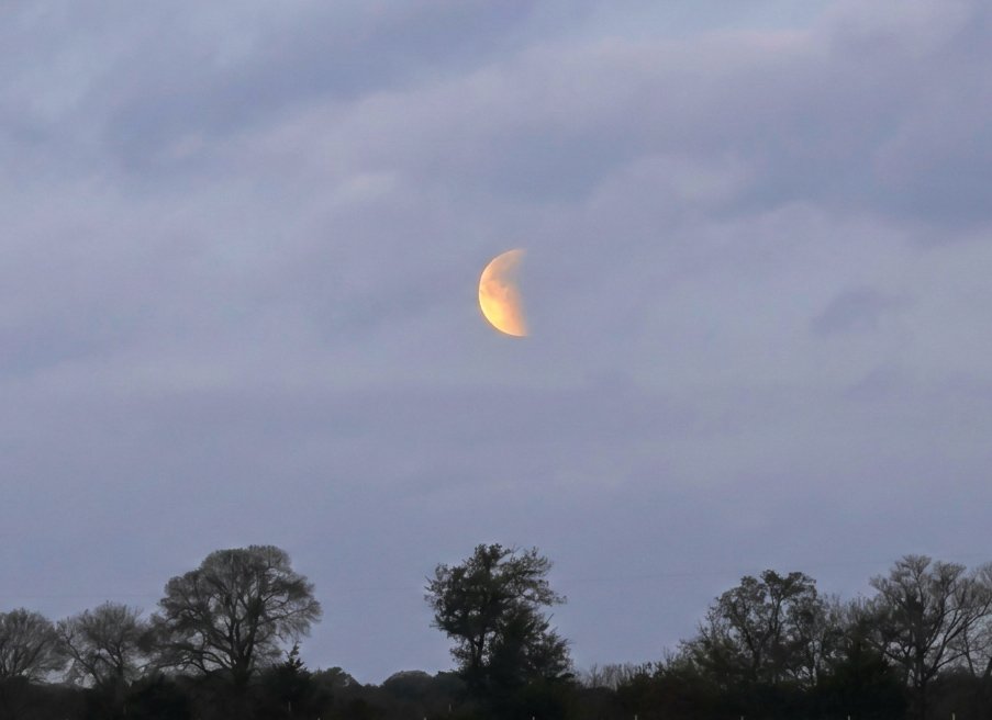 Phil Ostroff tweet media