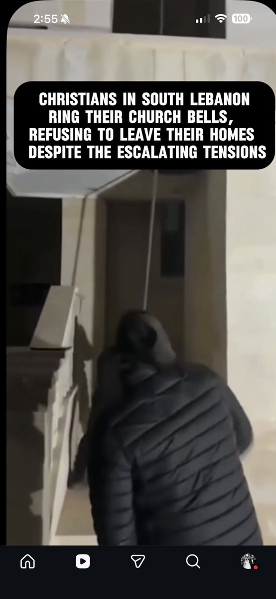 Cedars and Saints🇻🇦 tweet media