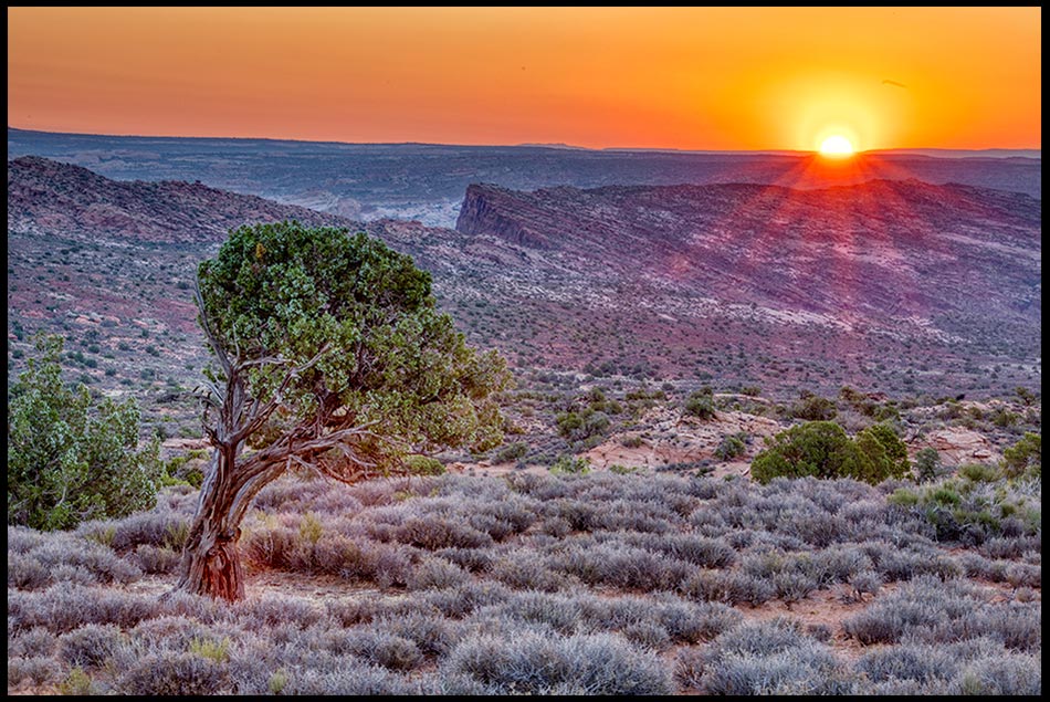 Creation_Speaks's tweet image. Visual #Bible Verse of the Day: Psalm 67:1-2 and a Juniper Tree at Sunset, Arches National Park, Utah
“God be gracious to us and bless us, And cause His face to shine upon us…” Click for the full #MorningDevo visualverse.thecreationspeaks.com/shine-upon-us/
