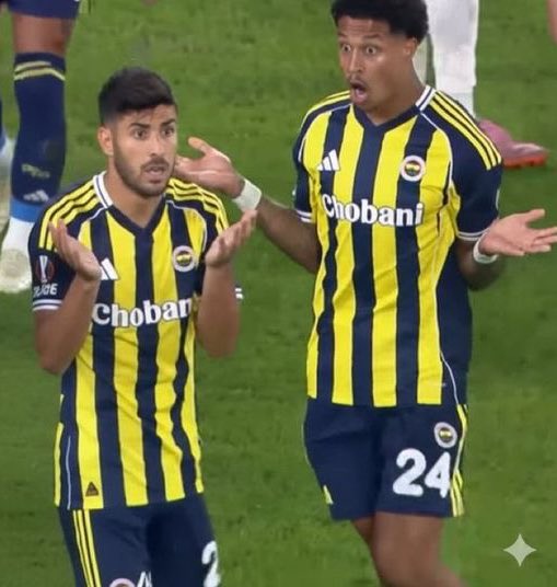 Merve ✨ tweet media