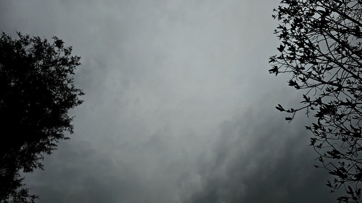 TAREQ🧉 (@tqi79) on Twitter photo 