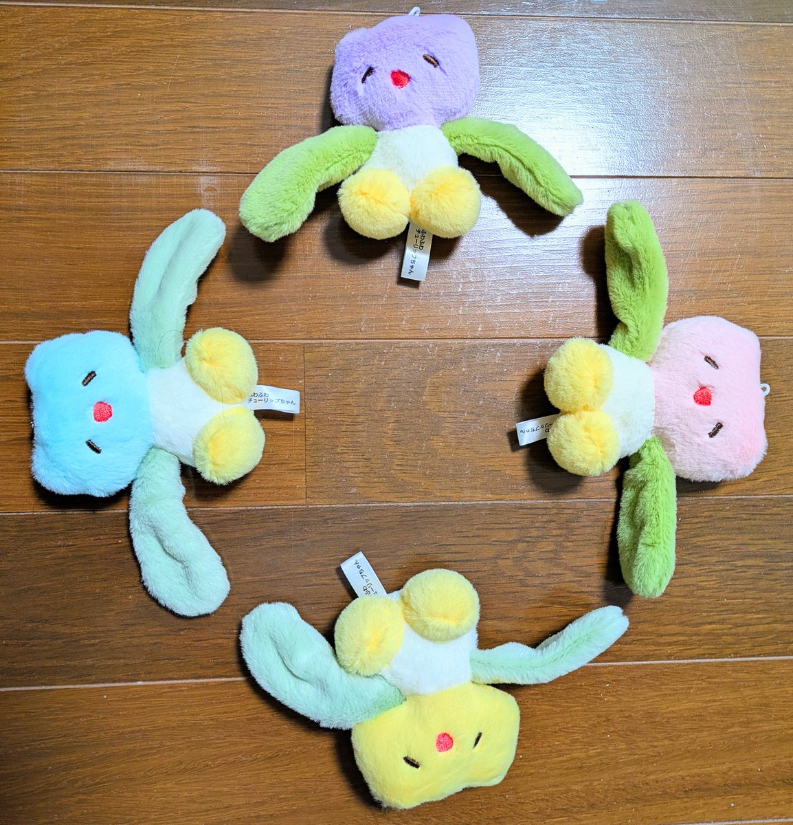 チューリップちゃん増えた
かわいい