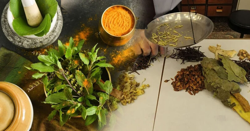 ادویاتی پودے = صحت + معیشت + حیاتیاتی تنوع 
مگر غیر پائیدار کٹائی اور موسمیاتی تبدیلی انہیں ختم کر رہی ہے۔
شعور پھیلائیں۔ ری ٹویٹ کریں۔ اپنی رائے دیں۔ لنک پر کلک کریں
farozaan.com.pk/%d9%81%d8%b1%d…
#WorldWildlifeDay  #MedicinalPlants #ClimateChange #Pakistan