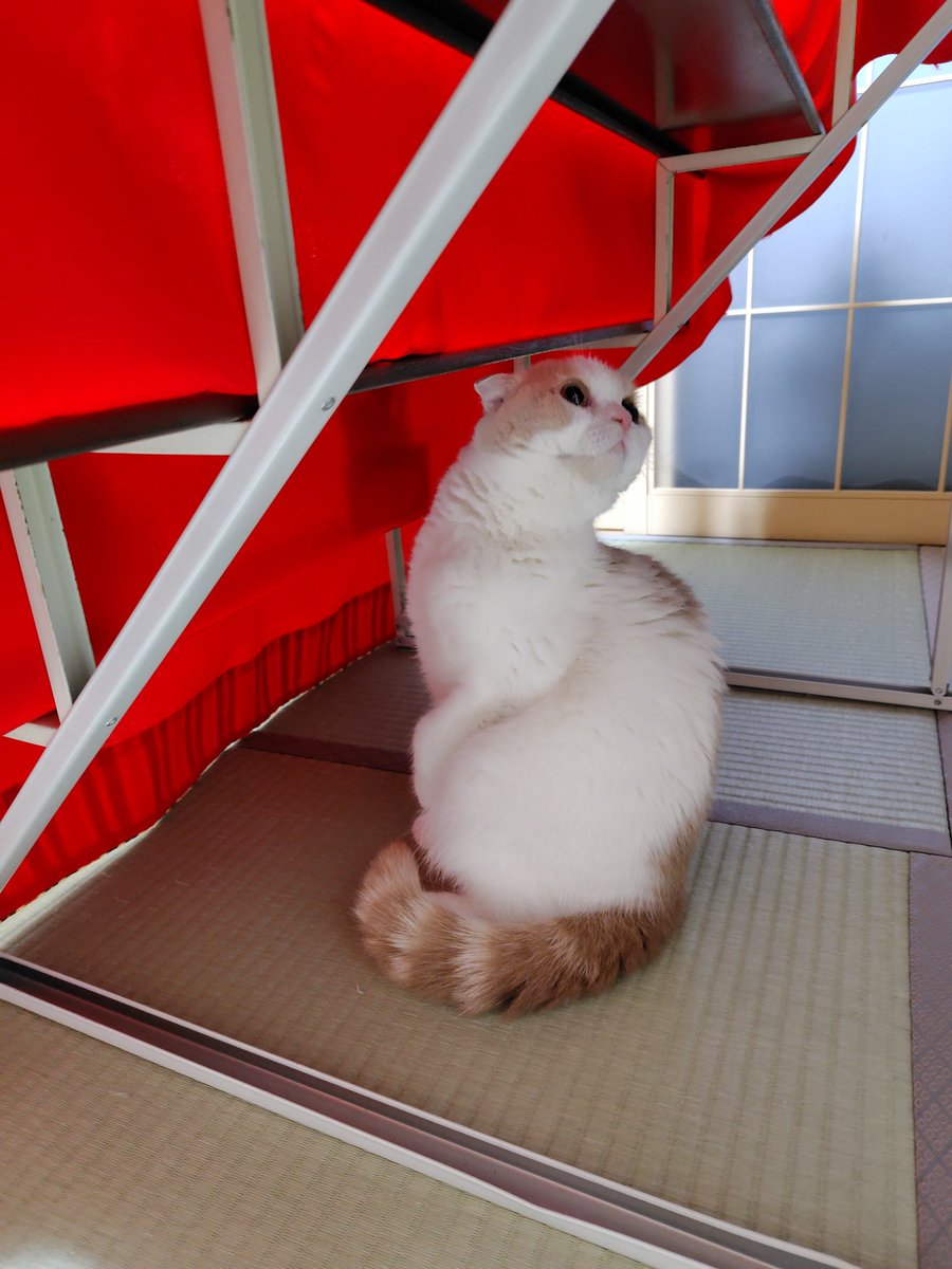 なおみ🍋 西2ニ16ab (@703akam) / Posts / X