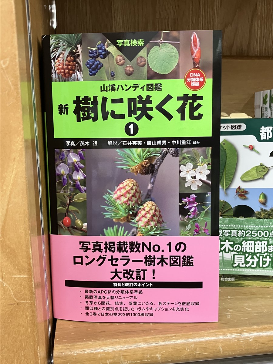 新刊入荷】 『山溪ハンディ図鑑 新 樹に咲く花1』（山と溪谷社）茂木
