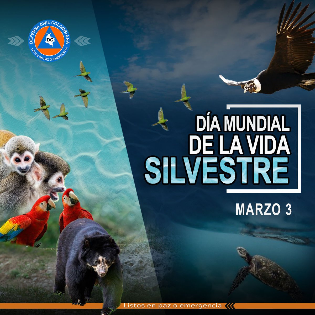#DíaMundialdelaVidaSilvestre
<a href="/DefensaCivilCo/">DefensaCivilColombia</a>: ¡Comprometidos con la vida!

✅ IMPACTO 2025:
* 90 Rescates Fauna 🦊 (Protocolo Bienestar Animal).
* Directiva atención ética animal.
* Rescate abejas 🐝 (clave Polinización).
¡Únete al #CorazónNaranja!
#ComprometidosConColombia 🧡💚
