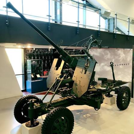 Tim Robinson tweet media