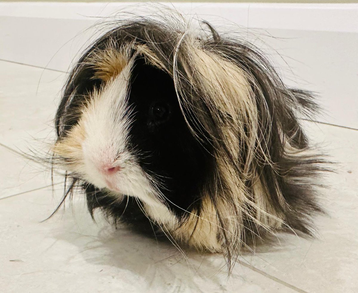 Cb Learning Leaders tweet media