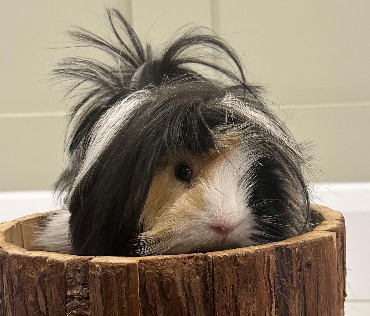 Cb Learning Leaders tweet media