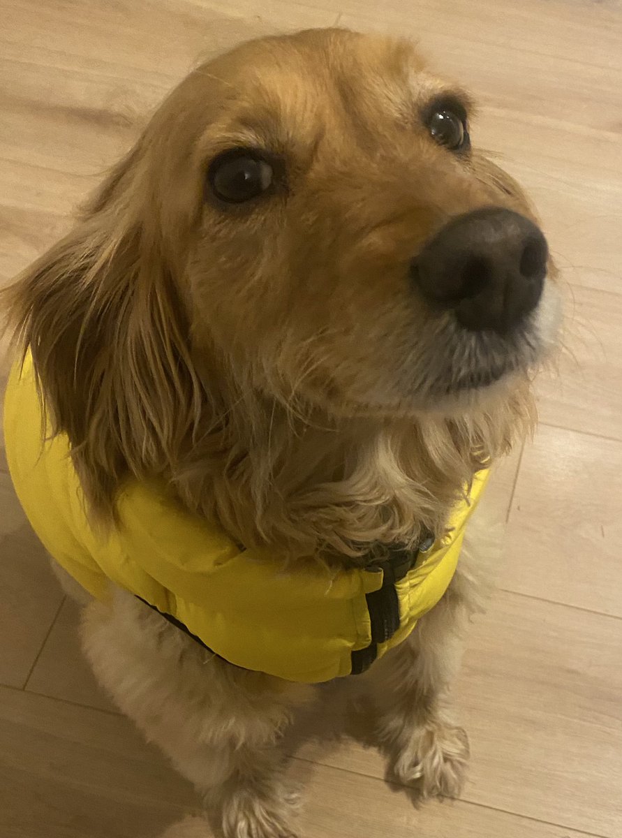 Cb Learning Leaders tweet media