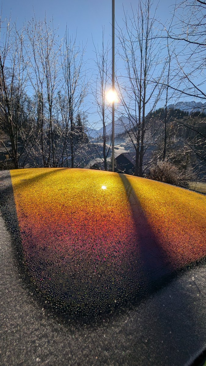 Marcel Sohler 🇨🇭🧑‍🤝‍🧑🇺🇦 tweet media