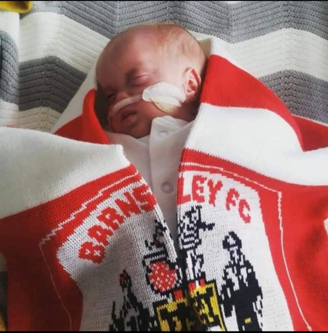 Louies Pace - A Warriors Tale tweet media