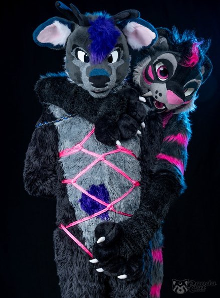 Vutie @FWA AWOO MP tweet media