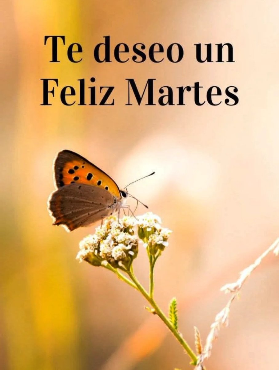 chfrcm144's tweet photo. #APOYOROCI03M
#APOYOROCIO3M
#APOYOROCIO3M
#APOYOROCIO3M
#APOYOROCIO3M
#APOYOROCIO3M
#APOYOROCIO3M
#APOYOROCIO3M
#APOYOROCIO3M
#APOYOROCIO3M
#APOYOROCIO3M
#APOYOROCIO3M
#APOYOROCIO3M
#APOYOROCIO3M
#APOYOROCIO3M
Siempre c/Rocío y todas las Rocios. Feliz martes Marea
Fucsia. 🌹😎💝 https://t.co/Psr0OZ6QIp