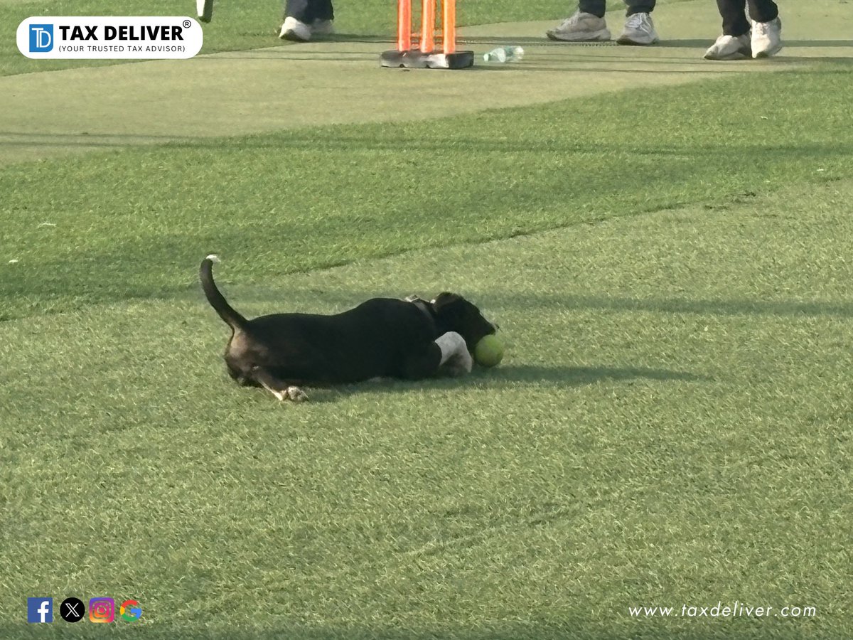 Tax Deliver®️ tweet media