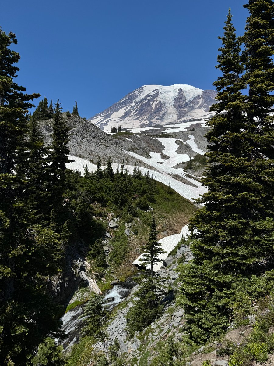 Oh-chie🌟おちえ tweet media