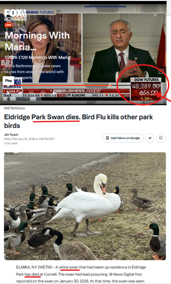 TheDebriefing17's tweet image. 🤔#Hmmm "13" days ago the "White Swan" Died fast forward to a Blood Moon and a Stock Market Heading Down....#Cicada @Homeranger17