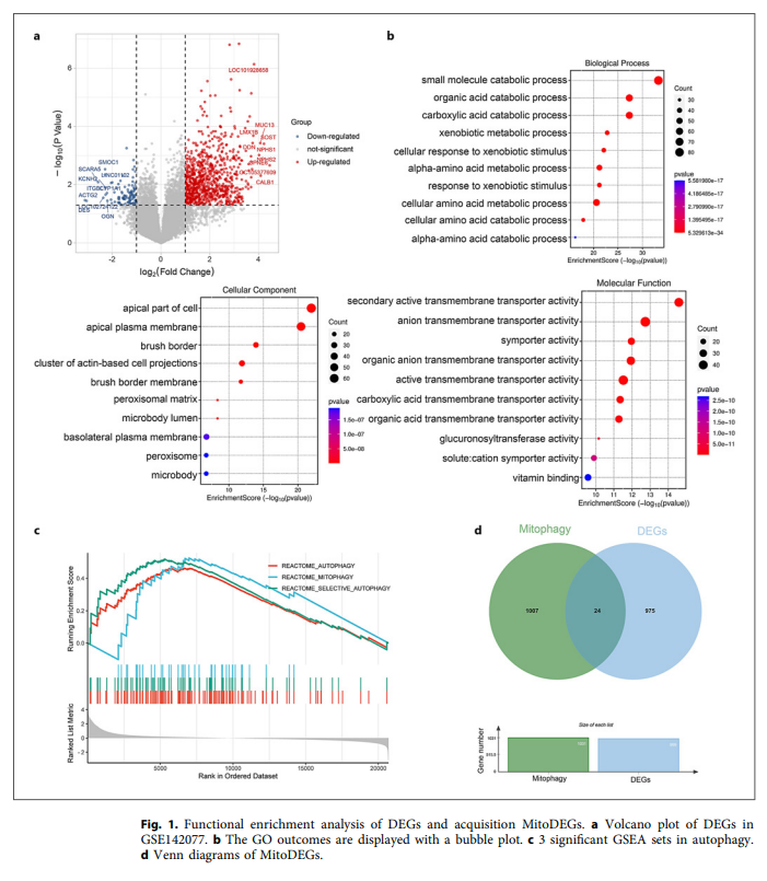 Nephrology | Karger tweet media