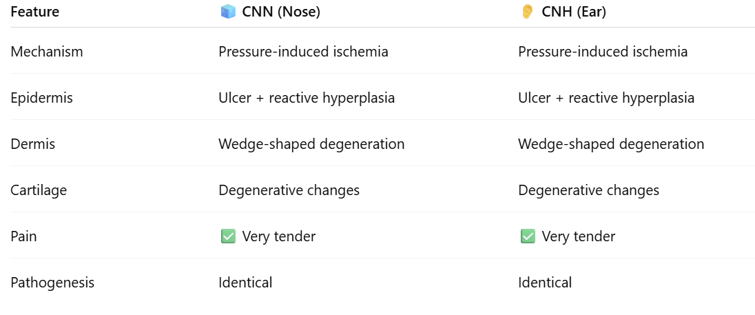 A. Sarah Erem tweet media
