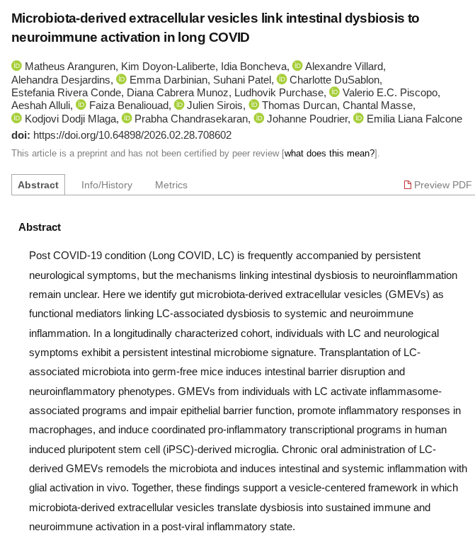 longcovidlabs's tweet photo. New study shows relationship between intestinal dysbiosis and neurological symptoms in LC 🦠🧠

This is pretty impressive!

Over the years, we have seen some Long COVID patients report dramatic improvements with microbiome-based interventions.  This study provides a possible explanation as to why.

Here, Canadian researchers demonstrated that Long COVID is associated with a microbiome signature that promotes neuroinflammation.

First, they identified the microbiome profile of LC patients with neurological symptoms.  

They then collected stool samples from LC patients and transplanted these samples into germ-free mice.

👉After receiving the transplants, the mice developed intestinal barrier disruption and neuroinflammatory symptoms.

Why did this happen?

Specifically, the researchers examined the role of gut bacterial extracellular vesicles (GBEV).  These are signalling molecules released by gut bacteria in order to communicate with other and influence their host environment.

Researchers measured these GBEV's in the bloodstream of the mice, post-transplant - and found that the circulating GBEV's are responsible for many of the biological changes observed.

1/