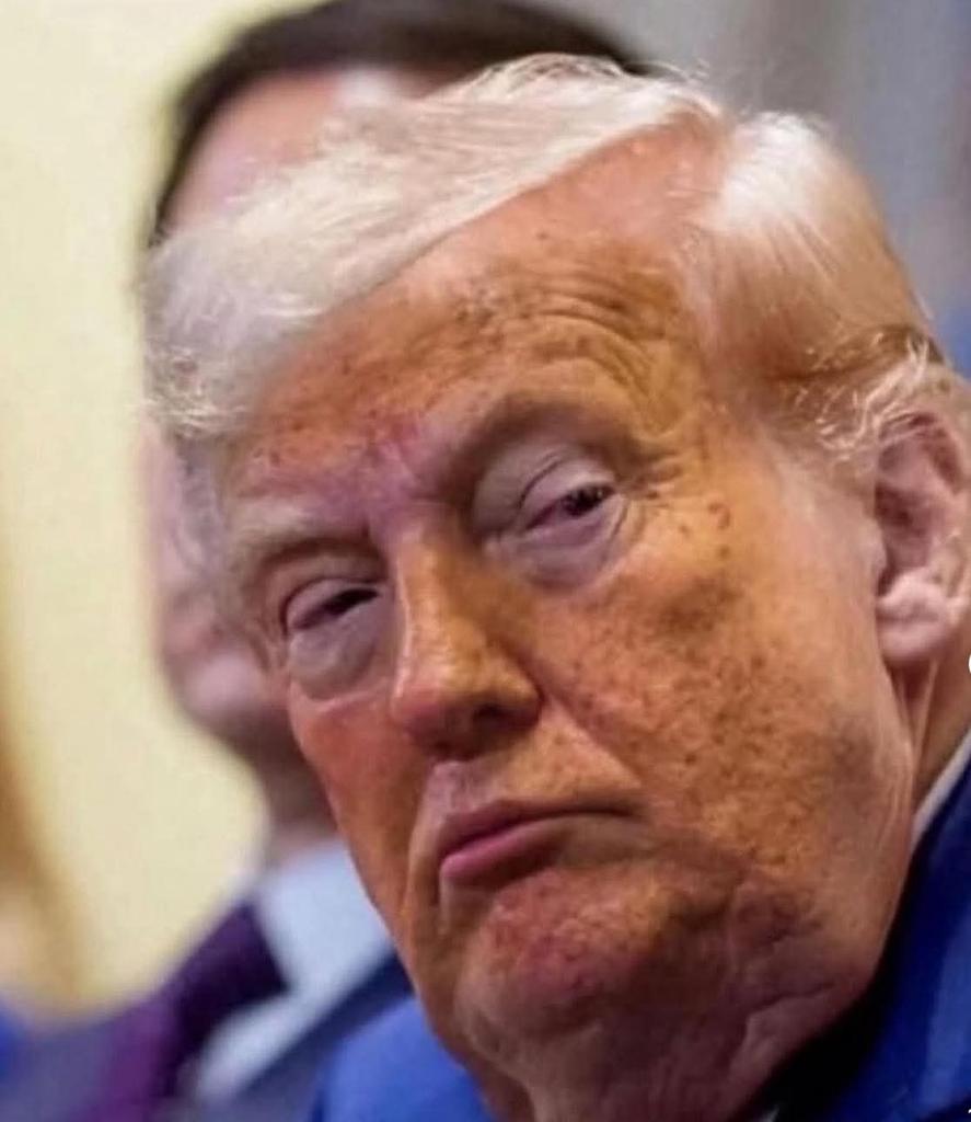 SueSrod8128's tweet photo. @atrupar @SenateGOP @LeaderJohnThune @SpeakerJohnson @HouseGOP are spineless weak ass cowards OathBreakers who have let their old orange moron a convicted felon #34Times pedo destroy America and the world.He needs to be ousted #AmericansDeserveBetter https://t.co/uLF4ugOWTc