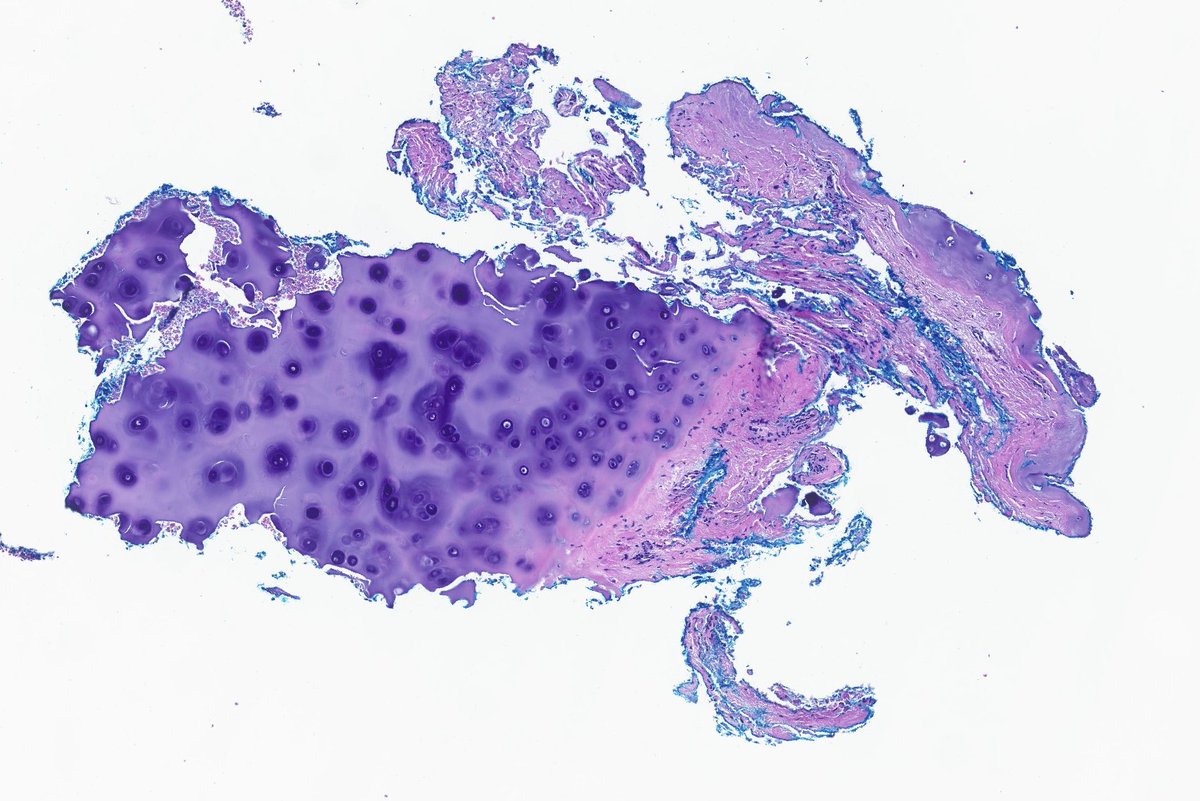 A. Sarah Erem tweet media