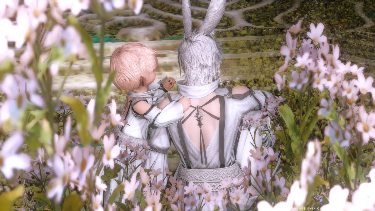 *˖ ⚘⚘⚘⚘⚘⚘ ˖*
#FF14SS #ヴィエラ #ララフェル