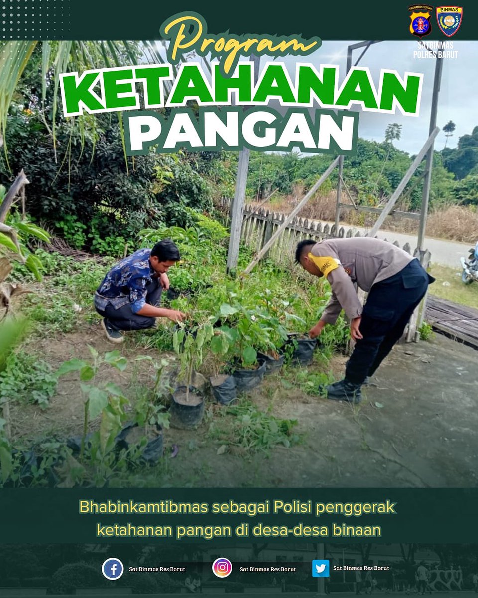 barut_binmas24's tweet photo. Halo Sahabat Bhabin Barut 👋🏻.... Mari kita bersama dukung program Asta cita Pemerintah untuk mewujudkan ketahanan pangan Nasional.

#swasembadapangan #ketahananpangan #Polrimendukungketahananpangan #polisicintapetani #Barut #Kalteng#Polriuntukmasyarakat https://t.co/cXLYXbzv9n