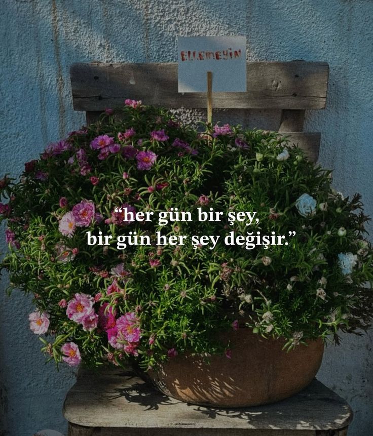 her gün bir şey, bir gün her şey değişir.