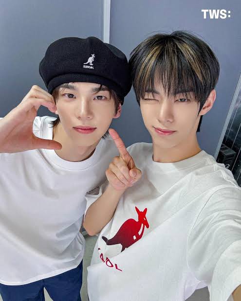 도룽 tweet media