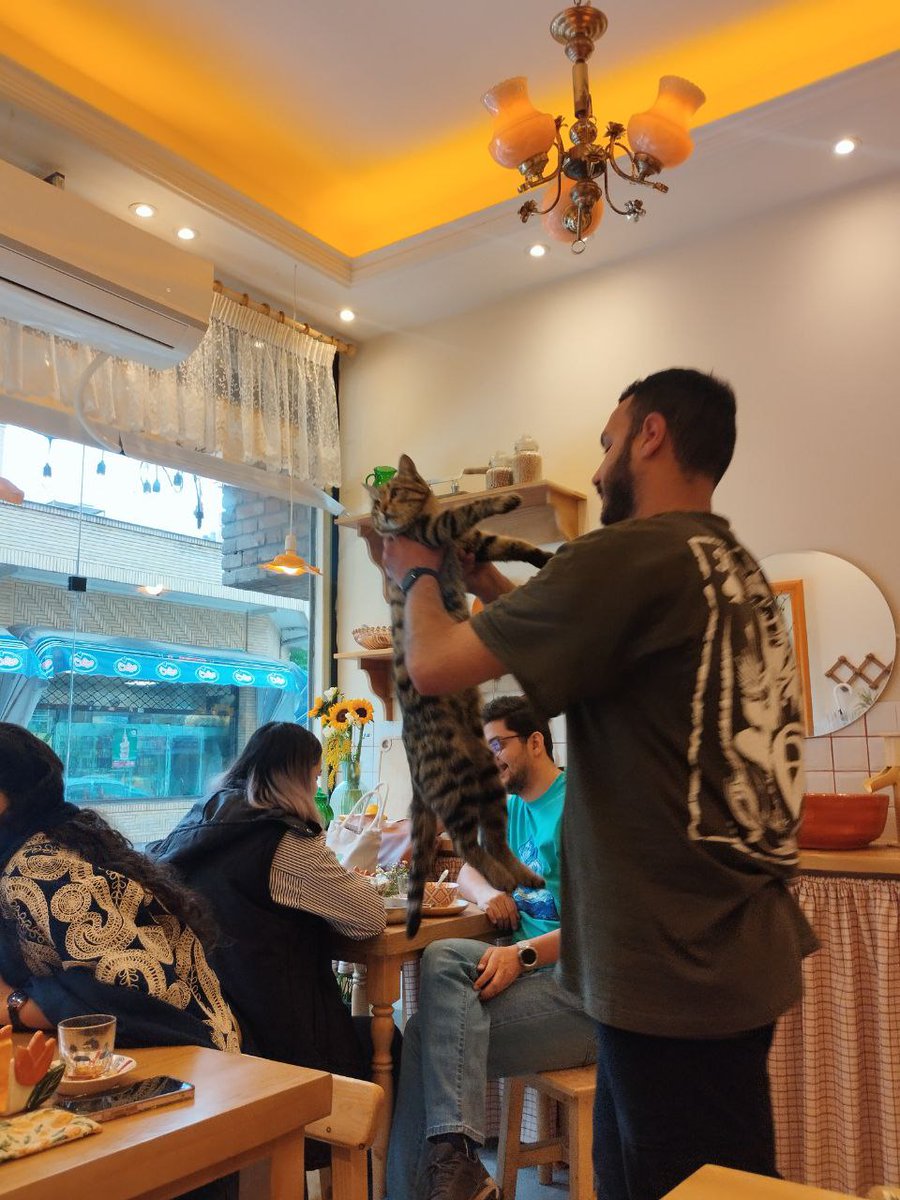 去年イランの友人が送ってきてくれたイランのカフェの一風景。去年の春まで、彼らは私たちと何も変わらないフツーの日常を送っていました。オシャレカフェで美味しいものを食べ、おしゃべりに興じ、乱入する猫ちゃんを優しく外に出し…そんなフツーの毎日をフツーの送っていたのです…フツーにフツーに