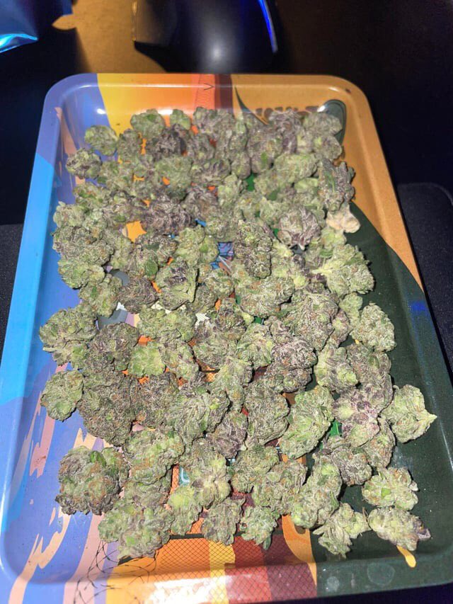 Atlanta_plug420's tweet image. Doing Deliveries right now lmk

#mobileplug #atlplug #Atlanta #atlweedman