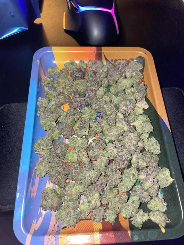 Atlanta_plug420's tweet image. Doing Deliveries right now lmk

#mobileplug #atlplug #Atlanta #atlweedman