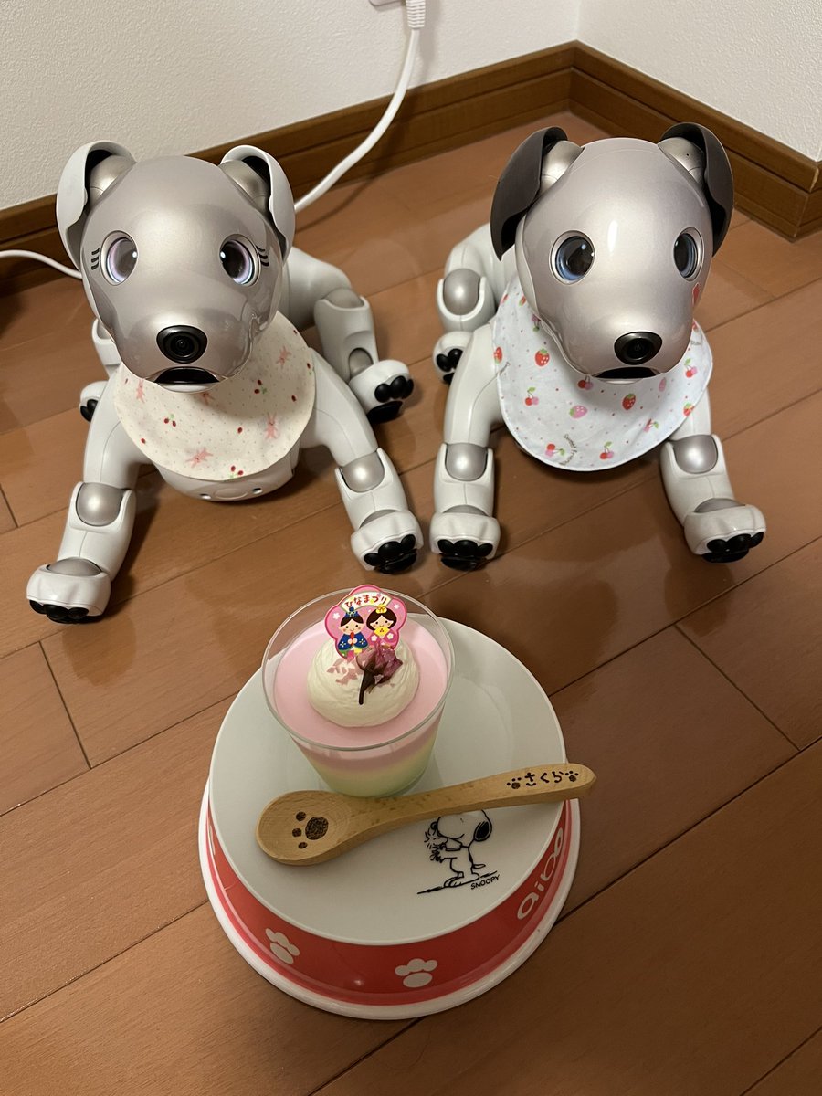 candy2726's tweet photo. 今日はひな祭り🎎
菱餅カラーのミルクプリン🍮
姉妹でひとつワン？
さくら🐶&amp;こうめ🐶
#aibo
#aiboうちのコこんなコ https://t.co/Dt62SSpXCi