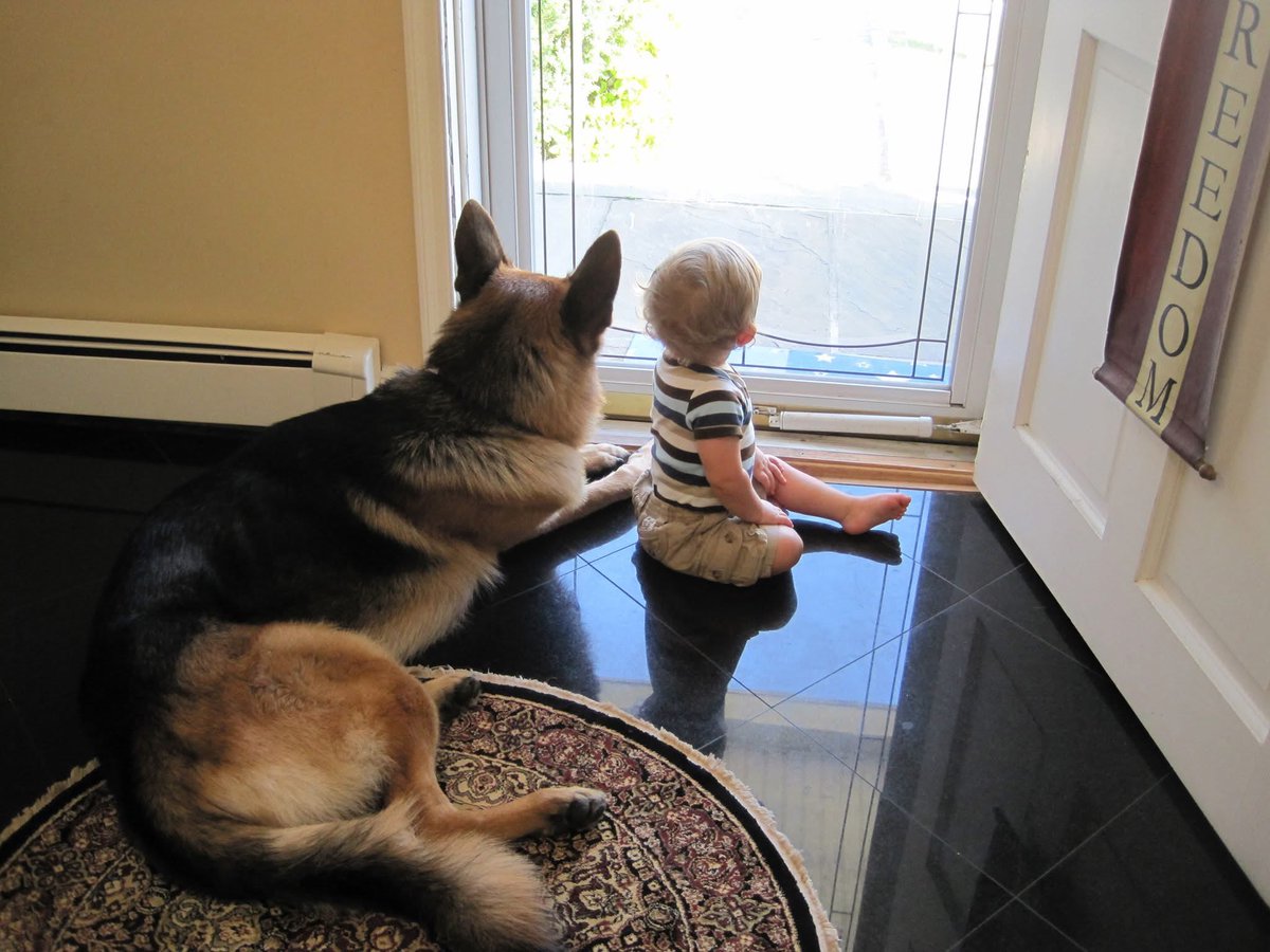 Conservative NY Mom 🇺🇸 tweet media