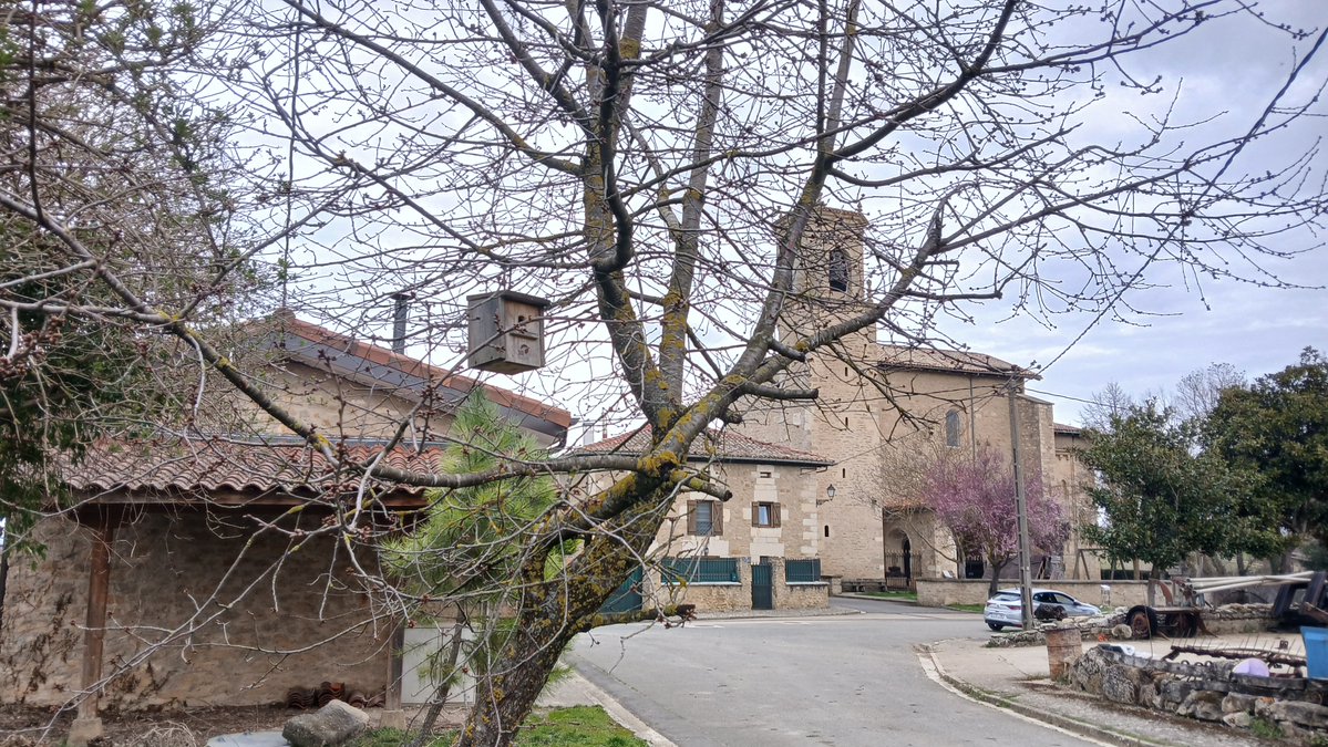 AcoaAke's tweet image. 📍 #Concejo de #Añua|ko #kontzejua

@Elburgo_Burgelu @Lautur1 #Araba #Alava