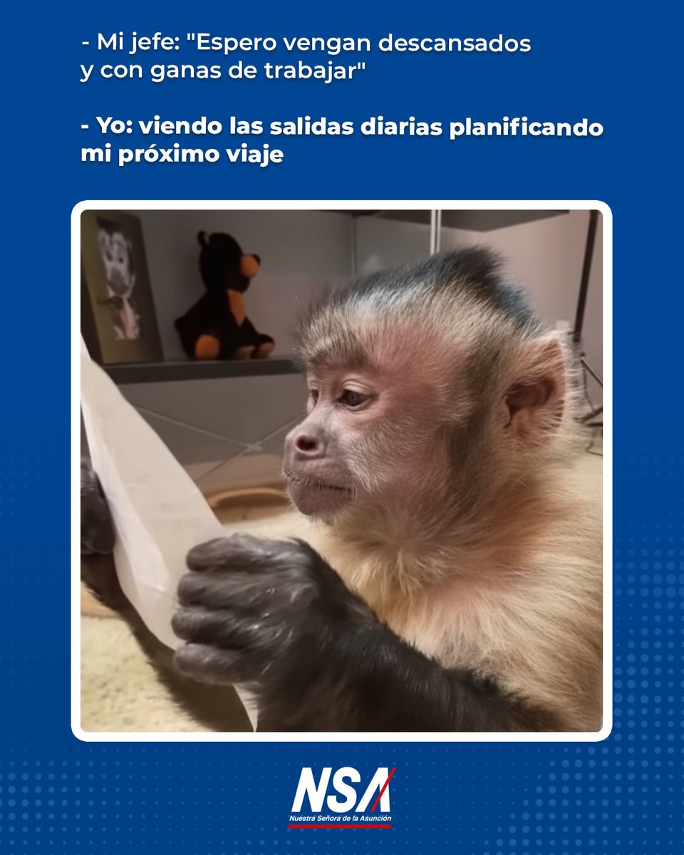 NSA Paraguay tweet media