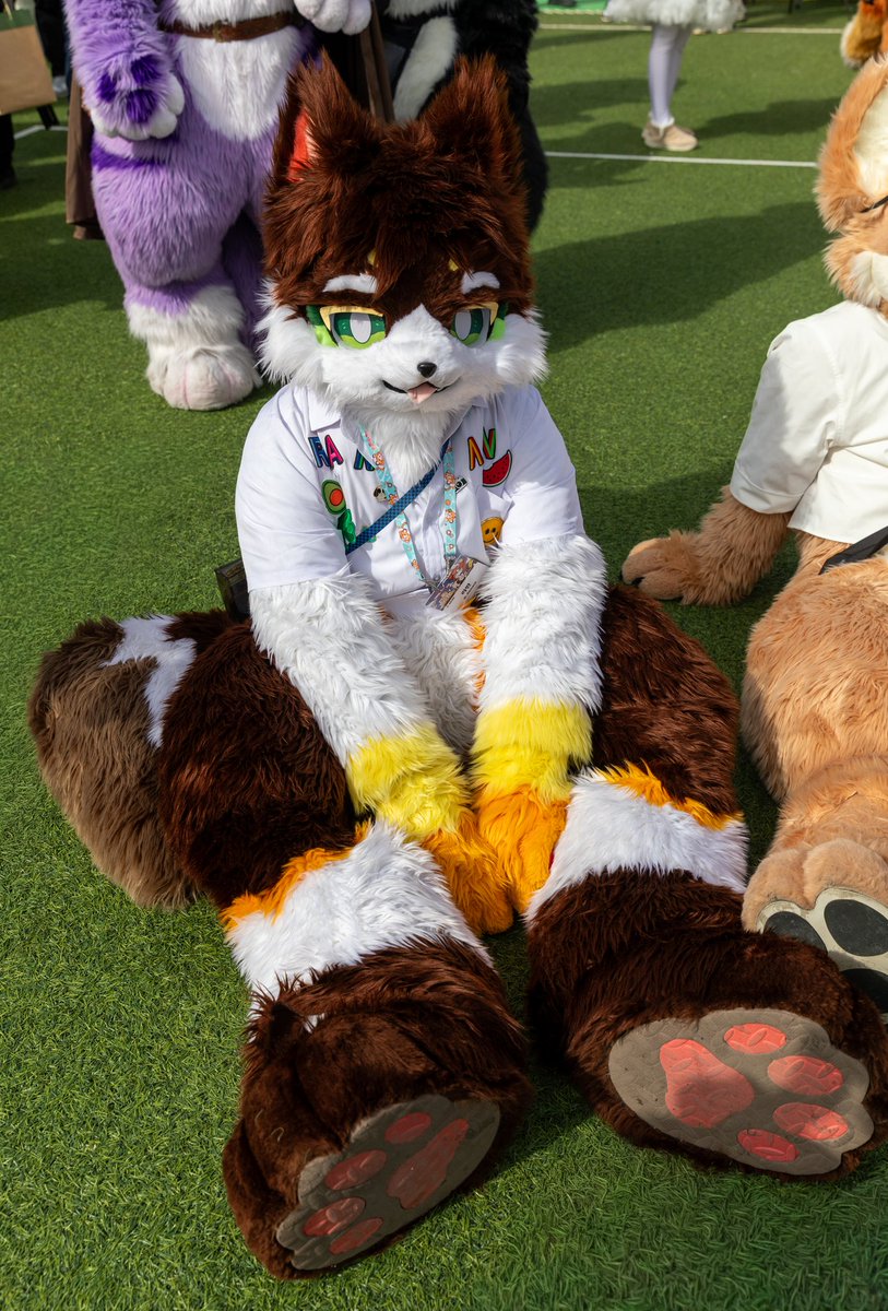 크루 | クルー🔜퍼클4월🍀 tweet media