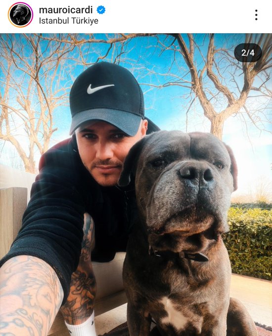 Ederson ölen köpeği için paylaşım yapıyor, ardından Mauro icardi bunu paylaşıyor.

Yorumlarına girip bir bakayım dedim, belki insan evladı bir tane Galatasaray'lı vardır diye.

Girmez olaydım.... Kapak yazan mı dersin, yine gol atmış diyen mi dersin.

Sizin kanınızı silkeyim.