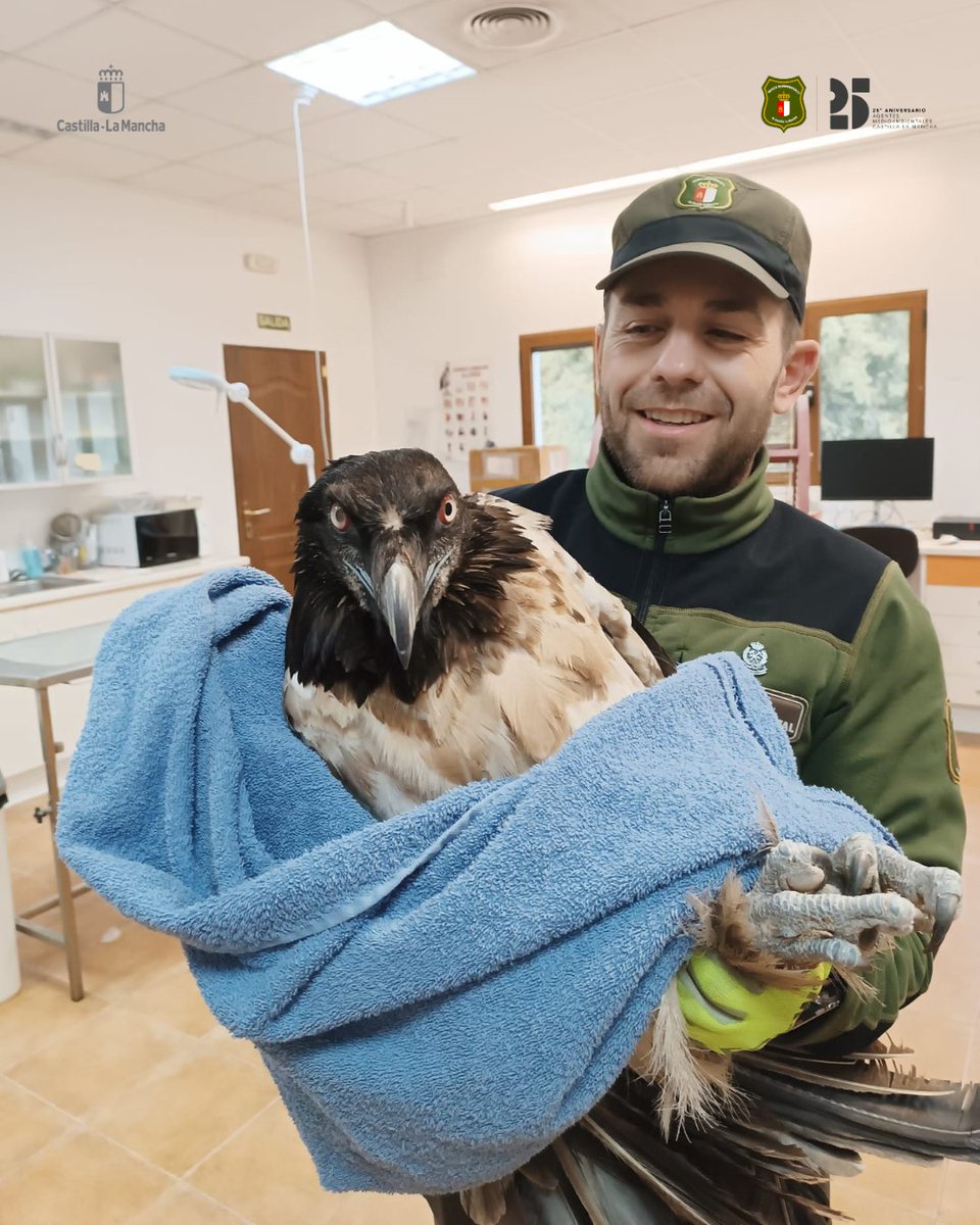 Agentes Medioambientales CLM tweet media