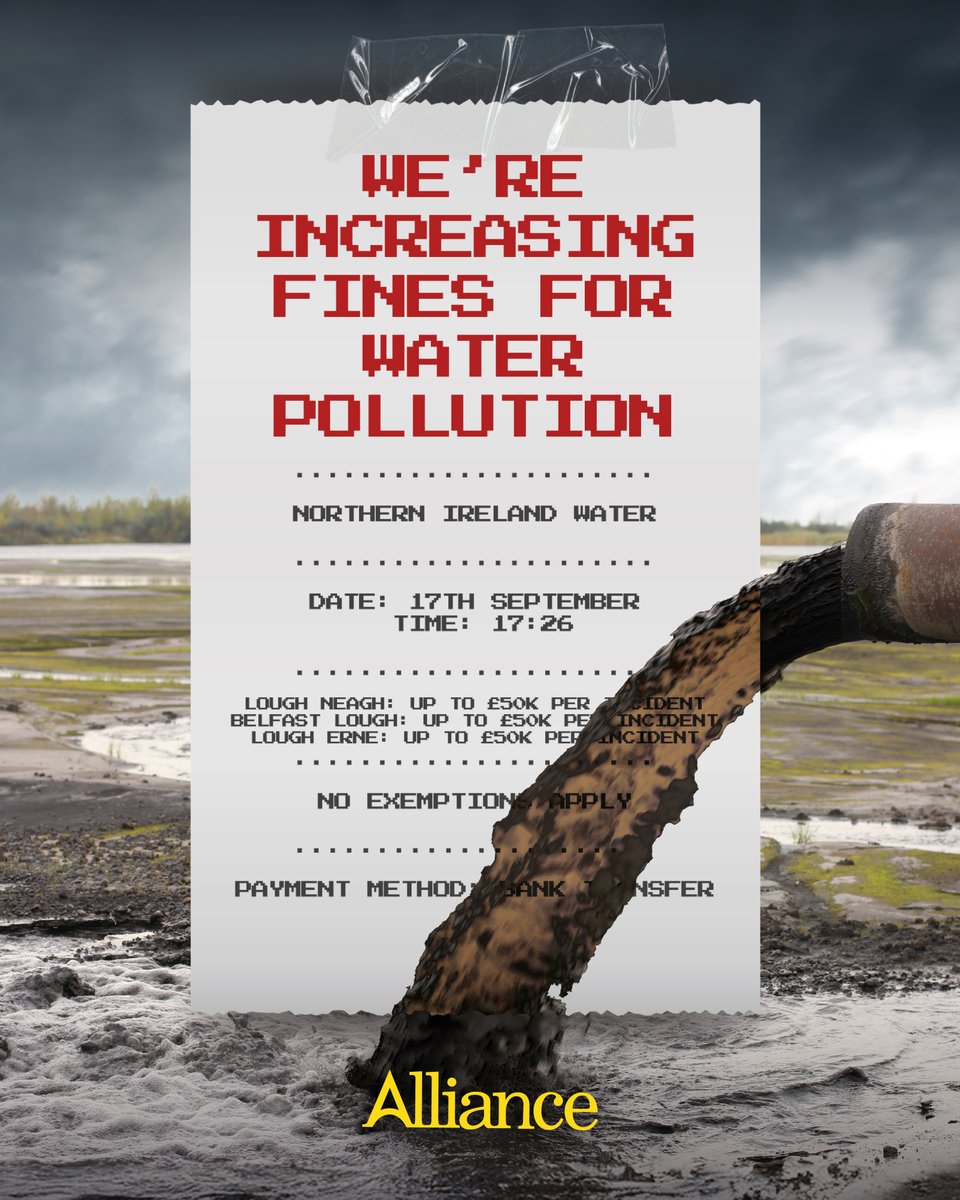 Alliance Party tweet media