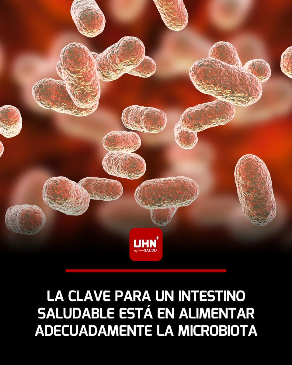 UHN_Plus_Salud's tweet photo. 🩺‼️ | Especialistas vinculados a Harvard destacan que la clave para un intestino saludable está en alimentar adecuadamente la microbiota, el conjunto de bacterias beneficiosas que influyen en la digestión, la inmunidad y hasta el estado de ánimo.

🔬 Base de la recomendación:
•Alta en fibra: frutas, verduras, legumbres y cereales integrales.
•Alimentos fermentados: yogur natural, kéfir, chucrut o kimchi, que aportan probióticos.
•Grasas saludables: aceite de oliva, frutos secos y pescado.
•Reducción de ultraprocesados y azúcares añadidos, que alteran el equilibrio bacteriano.

La evidencia sugiere que un patrón similar a la dieta mediterránea favorece la diversidad bacteriana, reduce inflamación y protege contra enfermedades metabólicas.