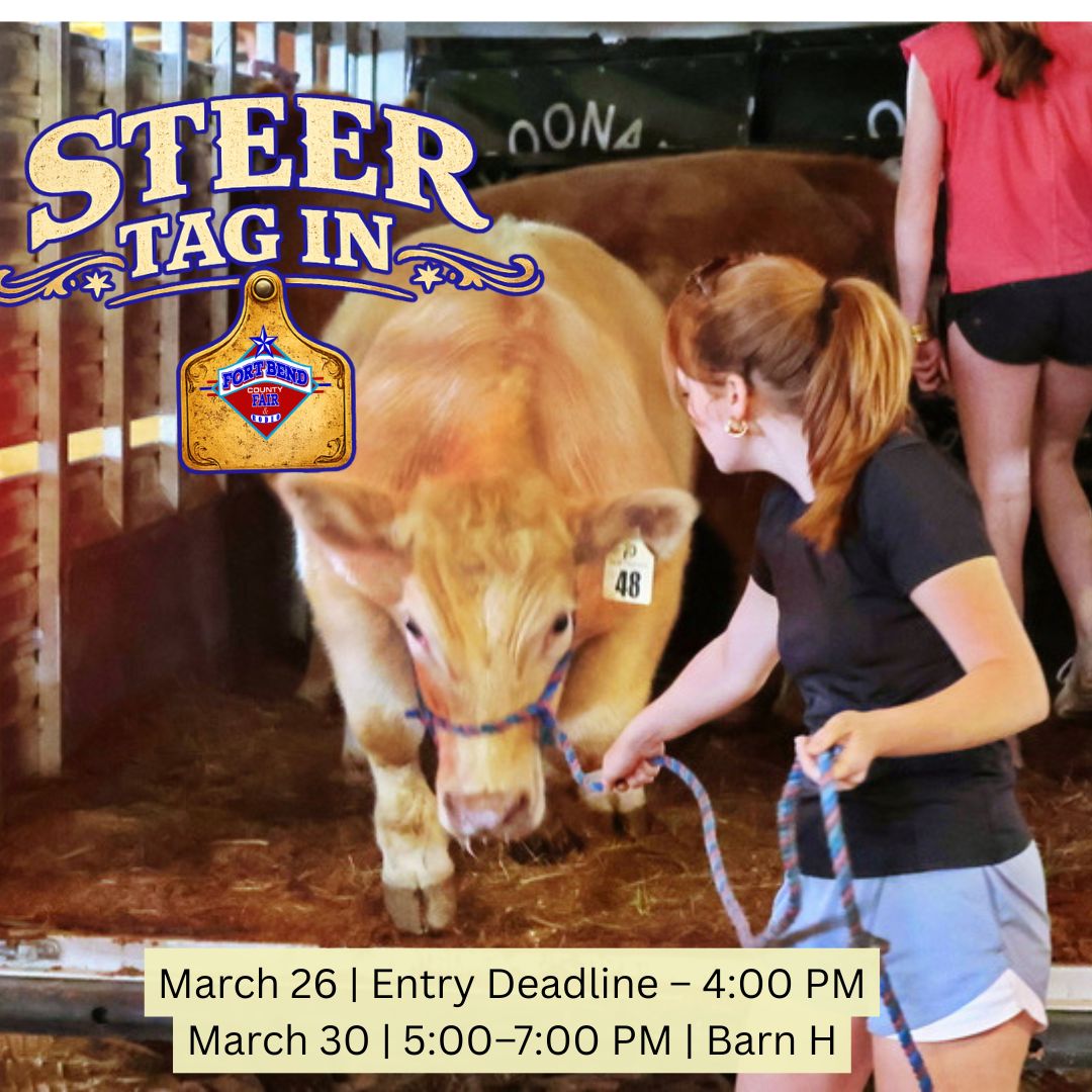 Fort Bend CountyFair tweet media