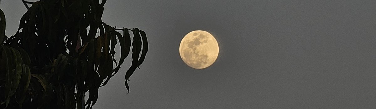 moon in march